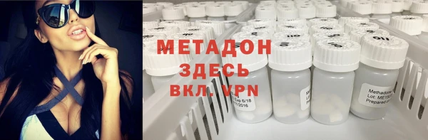 прущие грибы Балабаново