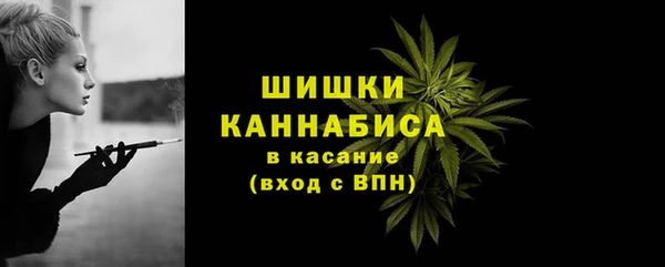 прущие грибы Балабаново
