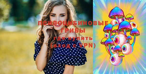 прущие грибы Балабаново