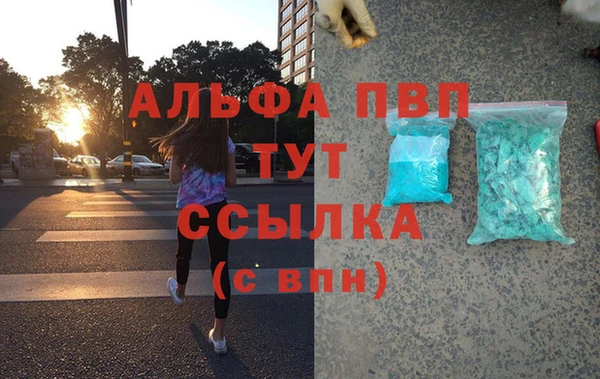 прущие грибы Балабаново