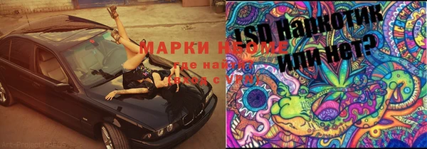 прущие грибы Балабаново