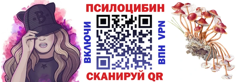Псилоцибиновые грибы ЛСД  darknet формула  Зеленоградск  МЕГА tor 